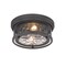 Z-Lite Clarion 2 Light Flush Mount, Bronze & Inner Clear Water & Outer Clear 493F2-BRZ - alternate 3